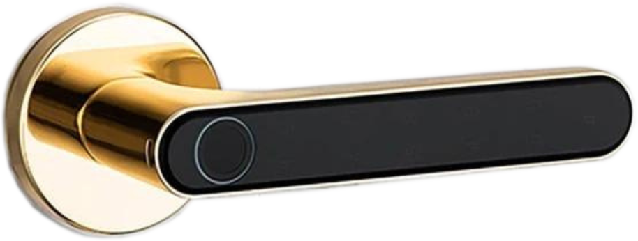 Smart Fingerprint Lever Lock with advanced biometric access